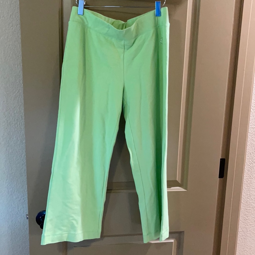 Christine Alexander lime green yoga pants